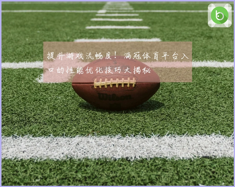 提升游戏流畅度！满冠体育平台入口的性能优化技巧大揭秘