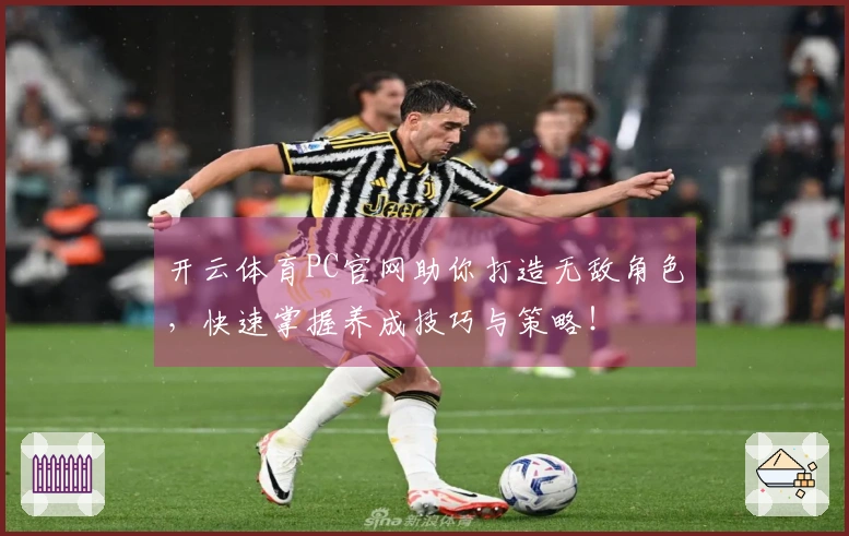 开云体育PC官网助你打造无敌角色，快速掌握养成技巧与策略！